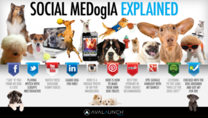 Social Media Explained with DOGS